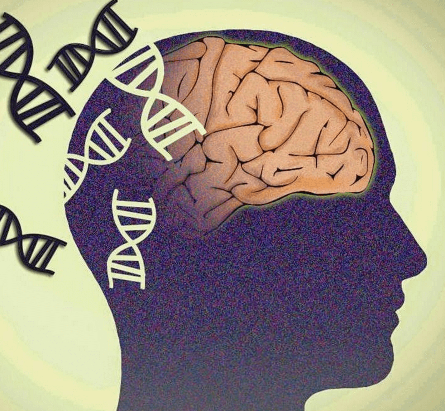 The Role of Genetics in Bipolar Disorder: Unraveling the Genetic Links